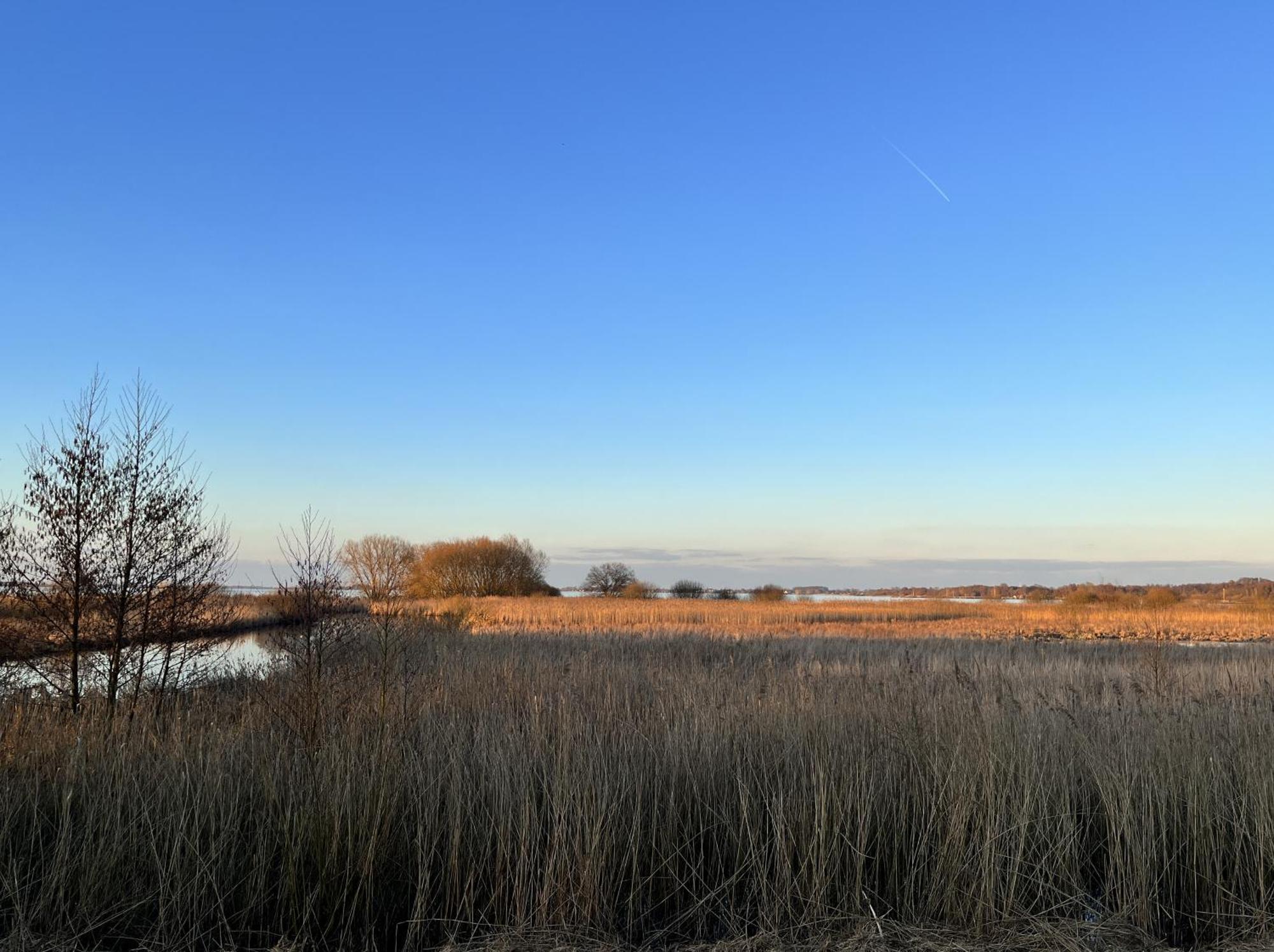 Hueder Hof Am Duemmer See Apart otel Oda fotoğraf